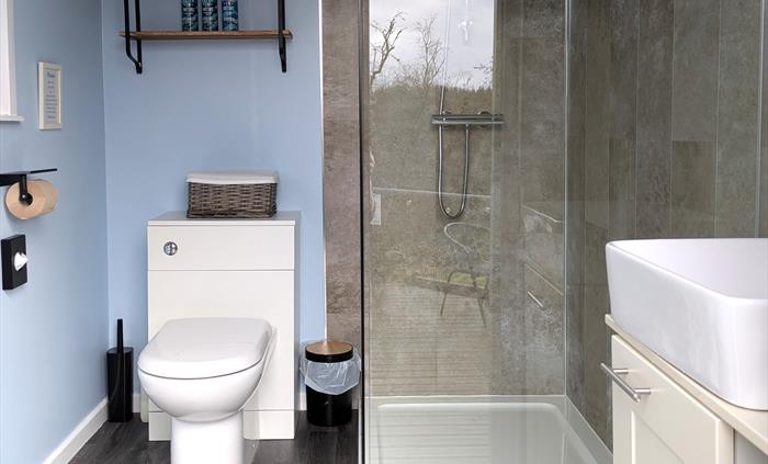 A glass shower enclosure, with brown marble Aquaboard, white toilet and handbasin. The shelf above the toilet holds Faith in Nature toiletries.